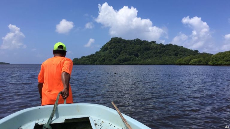 Dân Pohnpei lo lắng, bất bình tàu Việt Nam đến ‘ăn cắp’