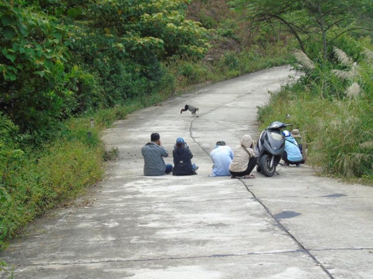 Bộ trưởng Bộ VH,TT&DL: “Quy hoạch Sơn Trà đúng trình tự, thủ tục, thẩm quyền” Bộ trưởng Bộ VH,TT&DL: “Quy hoạch Sơn Trà đúng trình tự, thủ tục, thẩm quyền”