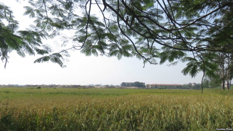Nông dân Việt ‘mạt’ vì thuốc bảo vệ thực vật