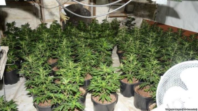 CEBDA4F2-49C8-4FCA-A919-8634BDA204D7_cx0_cy3_cw0_w1023_r1_s