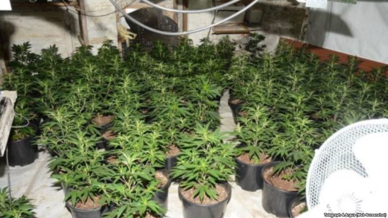 Hàng chục trẻ em Việt biến mất sau khi được giải cứu từ tay buôn người ở Anh