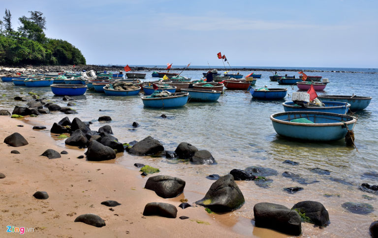 Di sản thiên nhiên Quảng Ngãi sắp giao cho Tập đoàn FLC