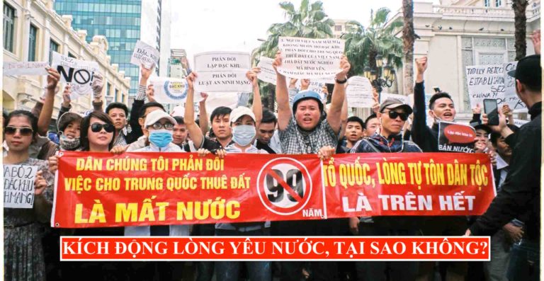 Sao Biển và Nhện: Sức Mạnh Vô Đối Của Tổ Chức Không Có Lãnh Đạo