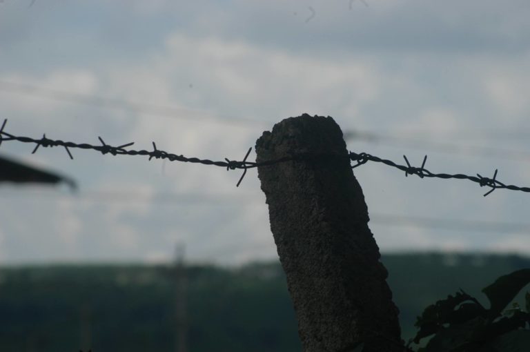 ĐẤT NƯỚC NÀO CŨNG CẦN PHẢI TRƯỞNG THÀNH