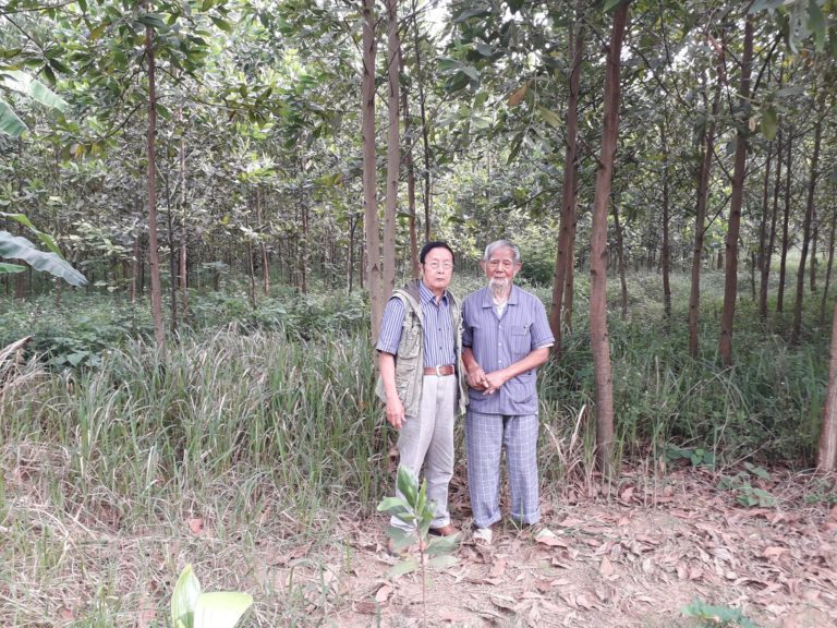 NHỮNG NẺO ĐƯỜNG HEO MAY
