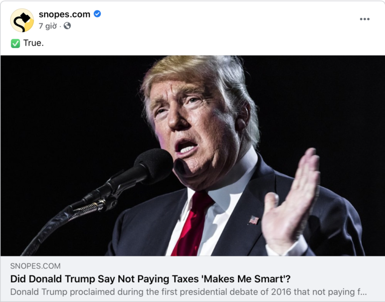 Những người lao động không giấy tờ làm việc cho Trump, đã đóng thuế nhiều hơn ông ta đóng