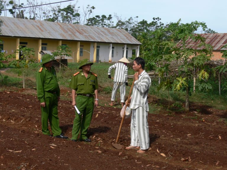Chiếc kẹo nhỏ trong bàn tay người chết Chiếc kẹo nhỏ trong bàn tay người chết