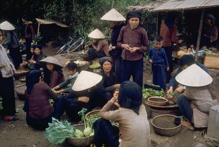 Thành ngữ mới: Mặt nghệt như mất sổ gạo