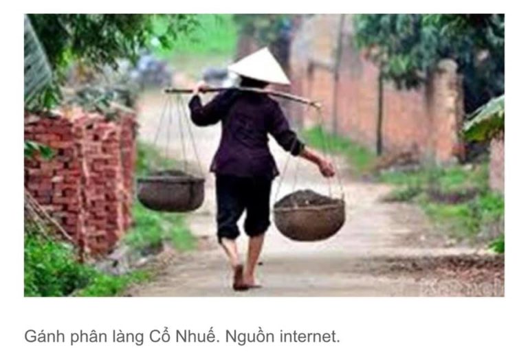 PHIÊN CHỢ CỨT