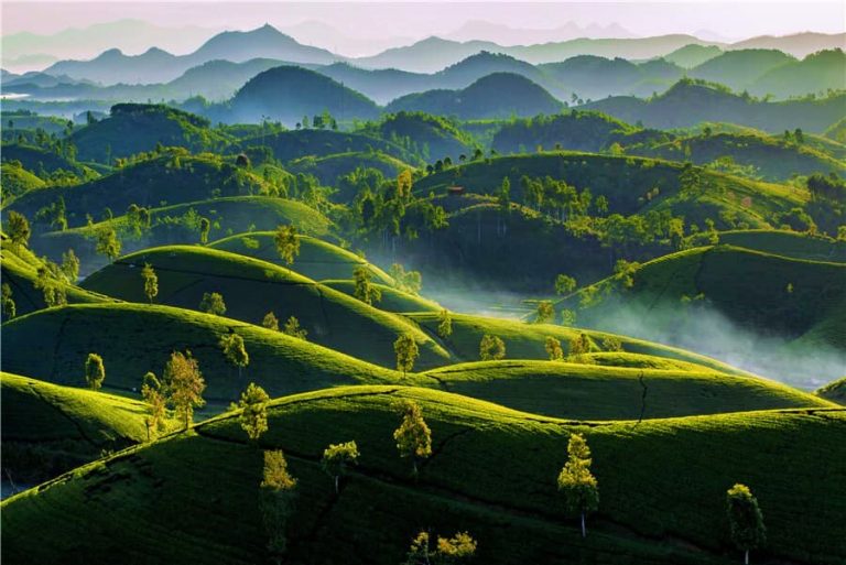 THÁI THANH: “TẠI SAO MÌNH PHẢI SỢ?” THÁI THANH: “TẠI SAO MÌNH PHẢI SỢ?”
