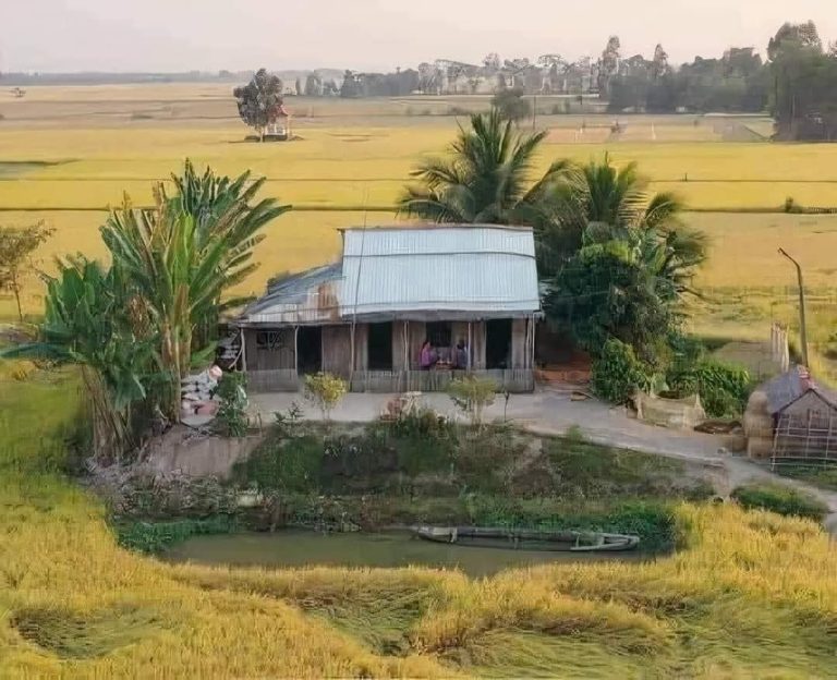 Những tối quê.
