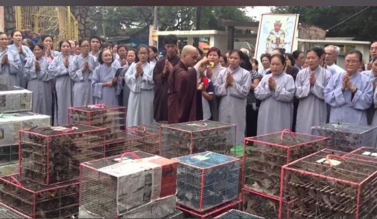 Điên đảo phóng sinh Điên đảo phóng sinh