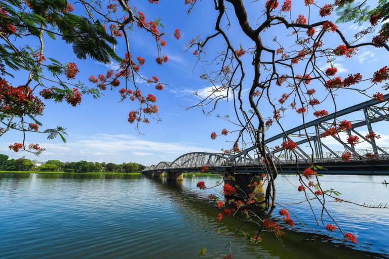  SỐNG GIỮA XÁC CHẾT