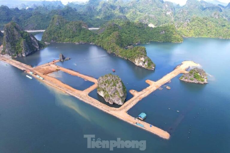 CÔNG TY ĐỖ GIA CAPITAL PHÁ DI SẢN THIÊN NHIÊN VỊNH HẠ LONG