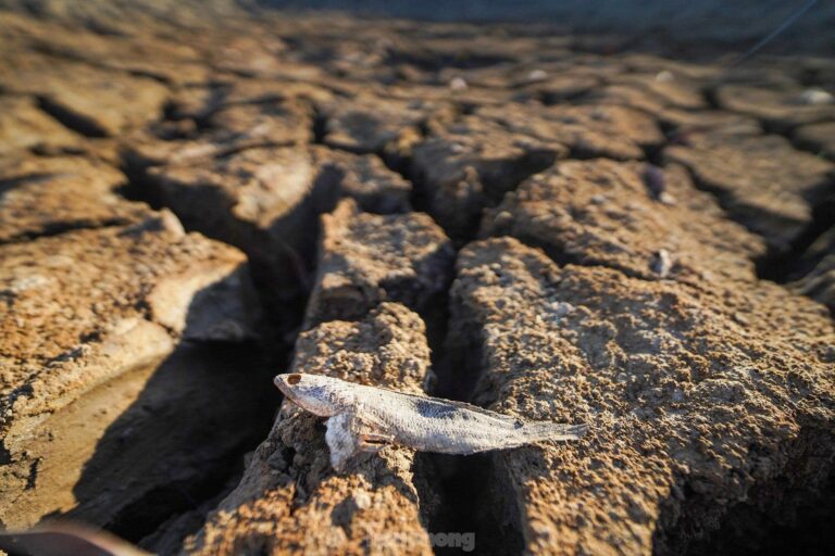 Hàng triệu người trên khắp Nam và Đông Nam Á đang phải đối mặt với nhiệt độ cao, thời tiết nắng nóng bất thường buộc các trường học phải đóng cửa và đe dọa sức khỏe cộng đồng.