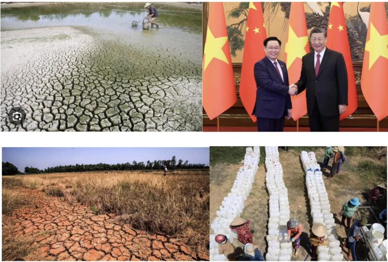 Nước ơi là nước