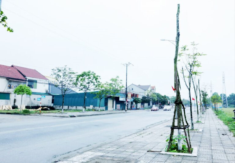 Doanh nghiệp cây xanh bị Bộ Công an “sờ gáy” trúng những gói thầu nào?