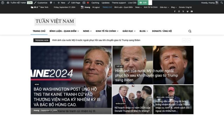 Làm thế nào để thiết kế lại vùng head Menu trên Website WordPress
