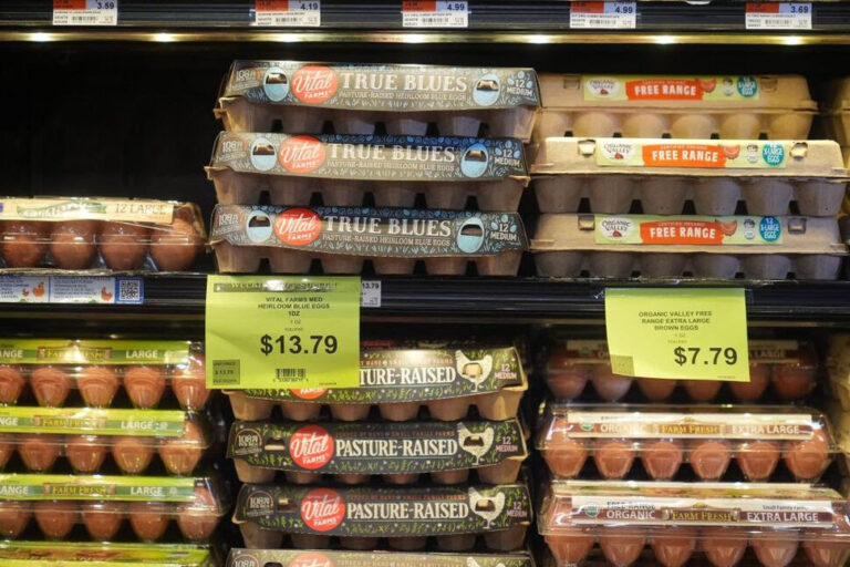 Mike Johnson, Cúm gia cầm, Houthis:  Chào mừng đến với Minefield 2025