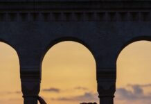 Lỡ một cơn mưa