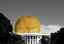 10 điểm WLF đang che giấu nhà đầu tư