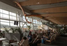 Tại sao người New Zealand lại chuyển đến Úc? Vì thu nhập cao hơn và môi trường sống tốt hơn.