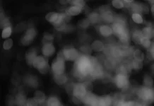 Đây không phải là cách một tổng thống bình thường nói chuyện.