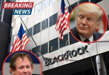 Bình luận VietnamWeek: “Rick Rieder – BlackRock – Fed”: Tin nóng hay đòn thổi sợ hãi?