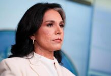 Độc quyền: Giám đốc tình báo của Trump, Tulsi Gabbard, giải thể lực lượng đặc nhiệm tình báo