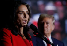 Tulsi Gabbard là con rối của Trump trong âm mưu thao túng bầu cử.