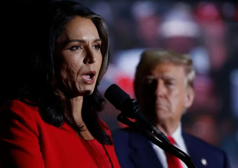 Tulsi Gabbard là con rối của Trump trong âm mưu thao túng bầu cử.