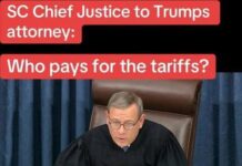 Thuế quan và Hiến pháp