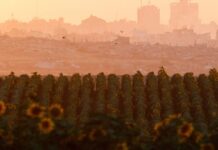 Lộ trình của “Hội đồng Hòa bình” cho Gaza mang lại hy vọng